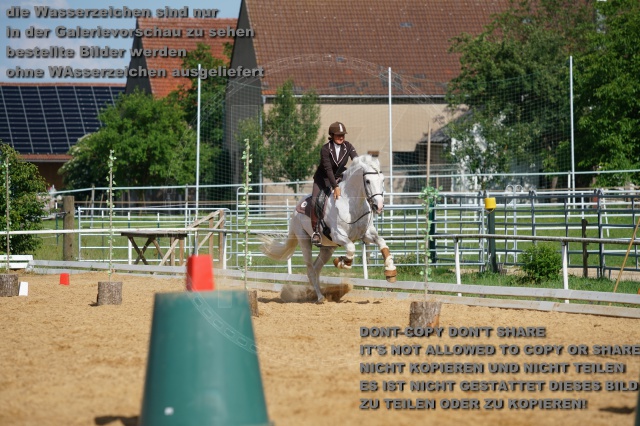 s_K3F07196.JPG